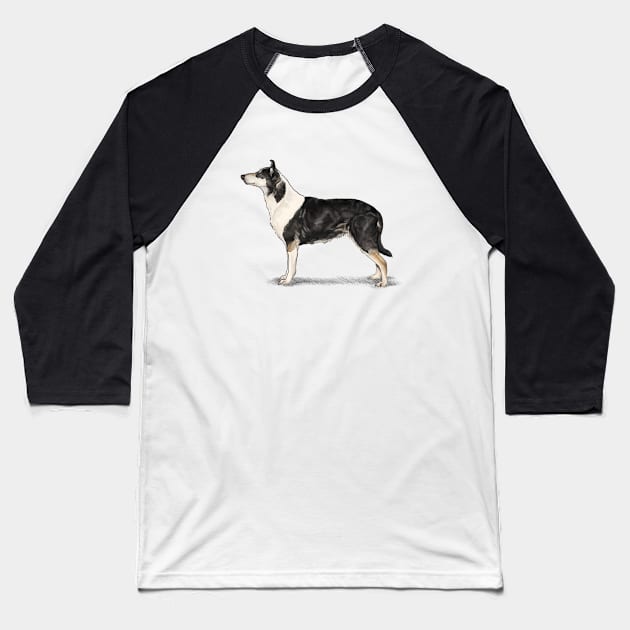 The Tri Colour Smooth Collie Baseball T-Shirt by Elspeth Rose Design